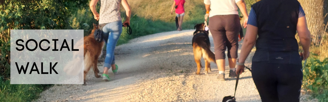 Socialwalk