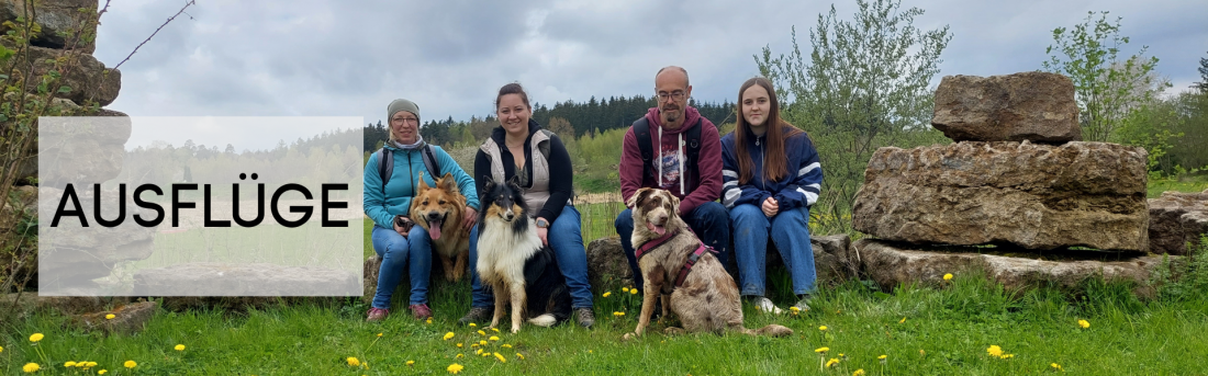Hundeschulausflüge
